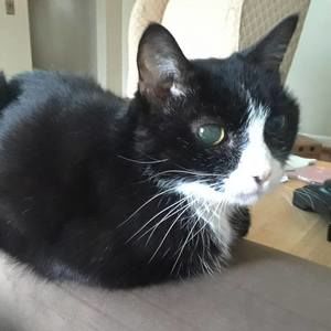 Meet your Posher, Gail